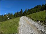 Forni di Sopra - Malga Varmost